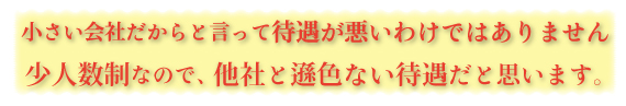 小さな会社ですが少人数制なので、他社と遜色ない待遇だと思います。